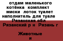 отдам маленького котёнка. комплект: 2 миски, лоток(туалет) наполнитель для туале - Рязанская обл., Рязанский р-н, Рязань г. Животные и растения » Кошки   
